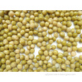 For Export Canned Green Peas Low Price